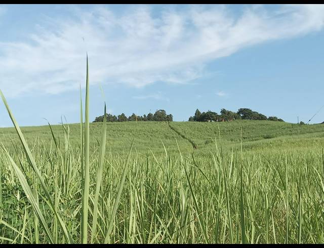 11.17M² FARM FOR SALE IN FAIRBREEZE